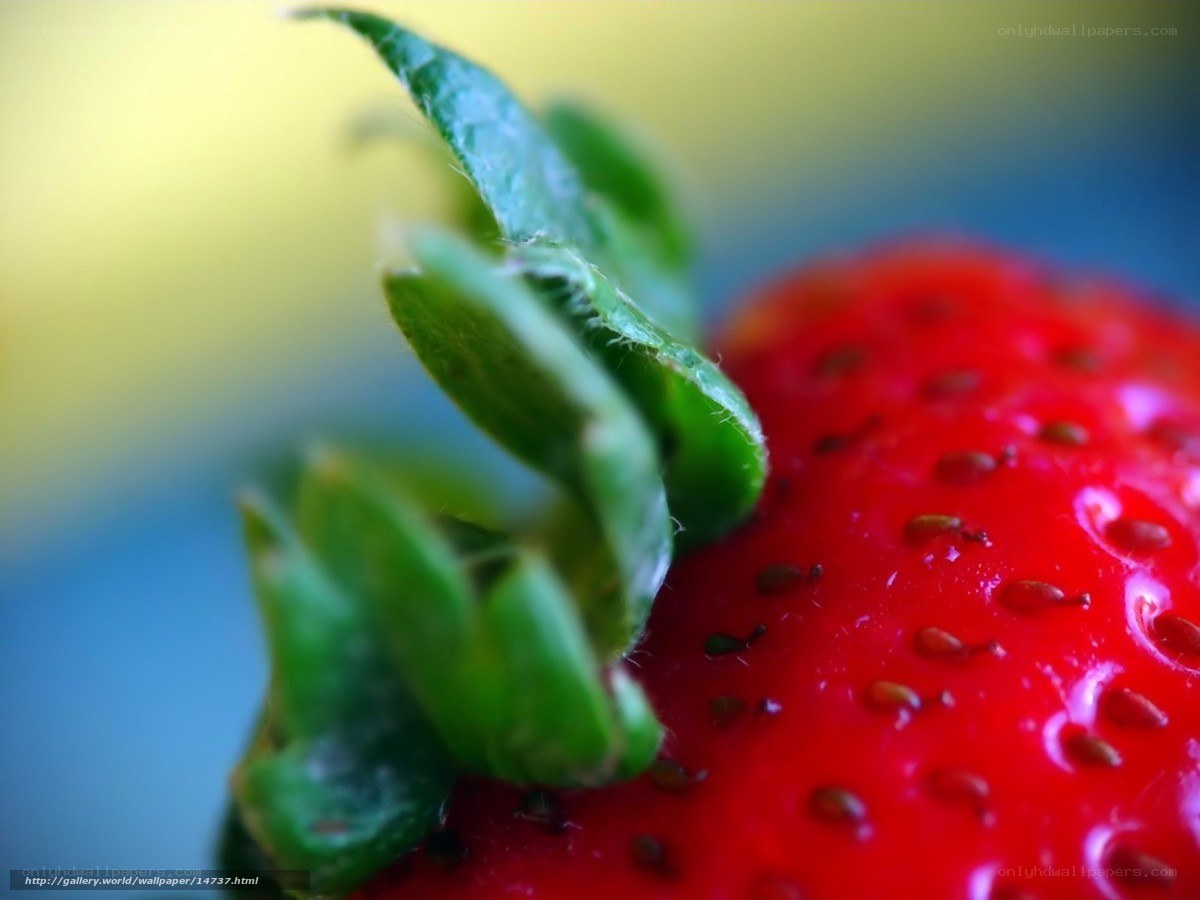 Close-up of a strawberry