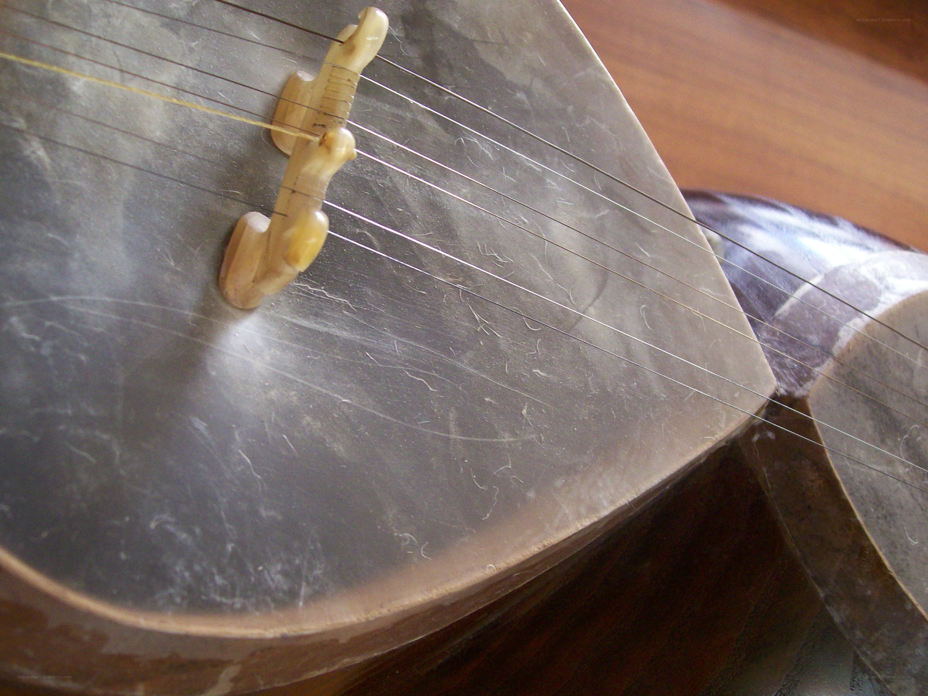 Close-up of a stringed instrument