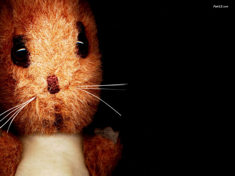 close-up of a stuffed animal