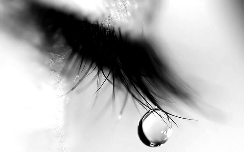 Close-up of a Tear