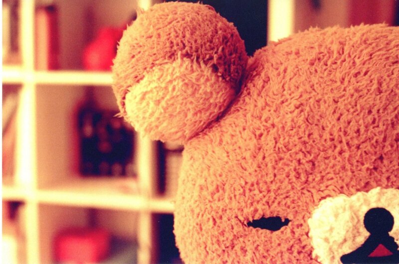 close-up of a teddy bear