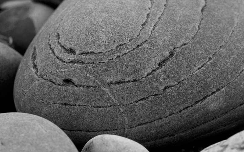 Close-up of a textured stone