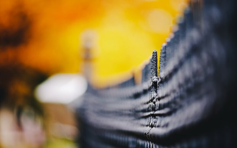 Close-up of a textured surface