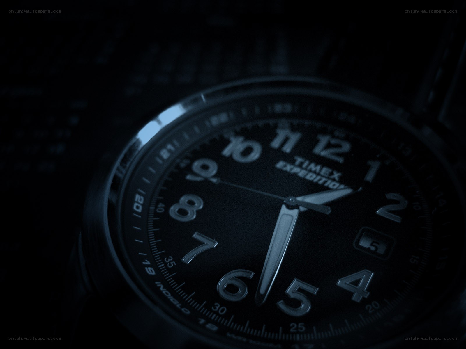 close-up of a Timex watch