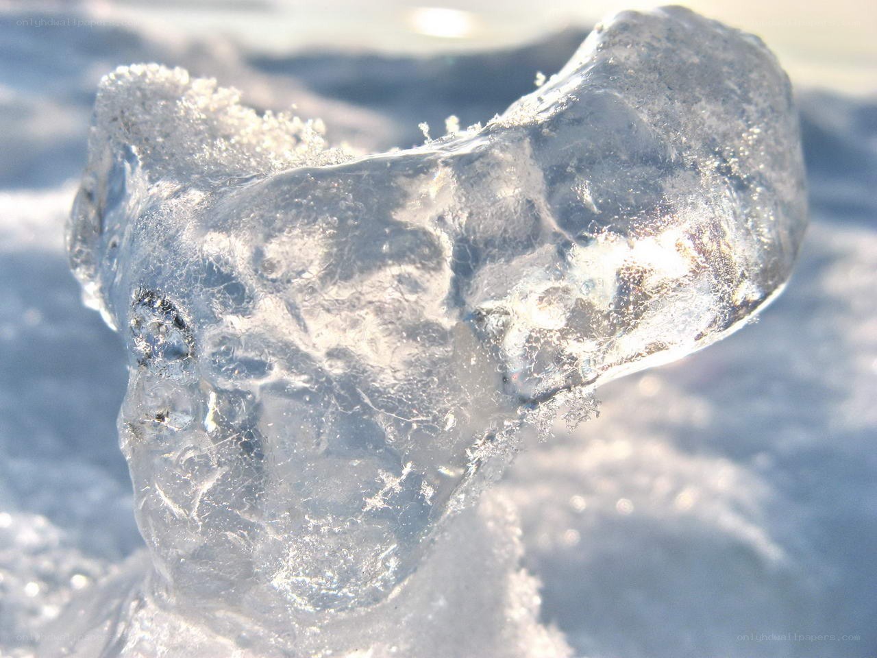 Close-up of a translucent ice formation