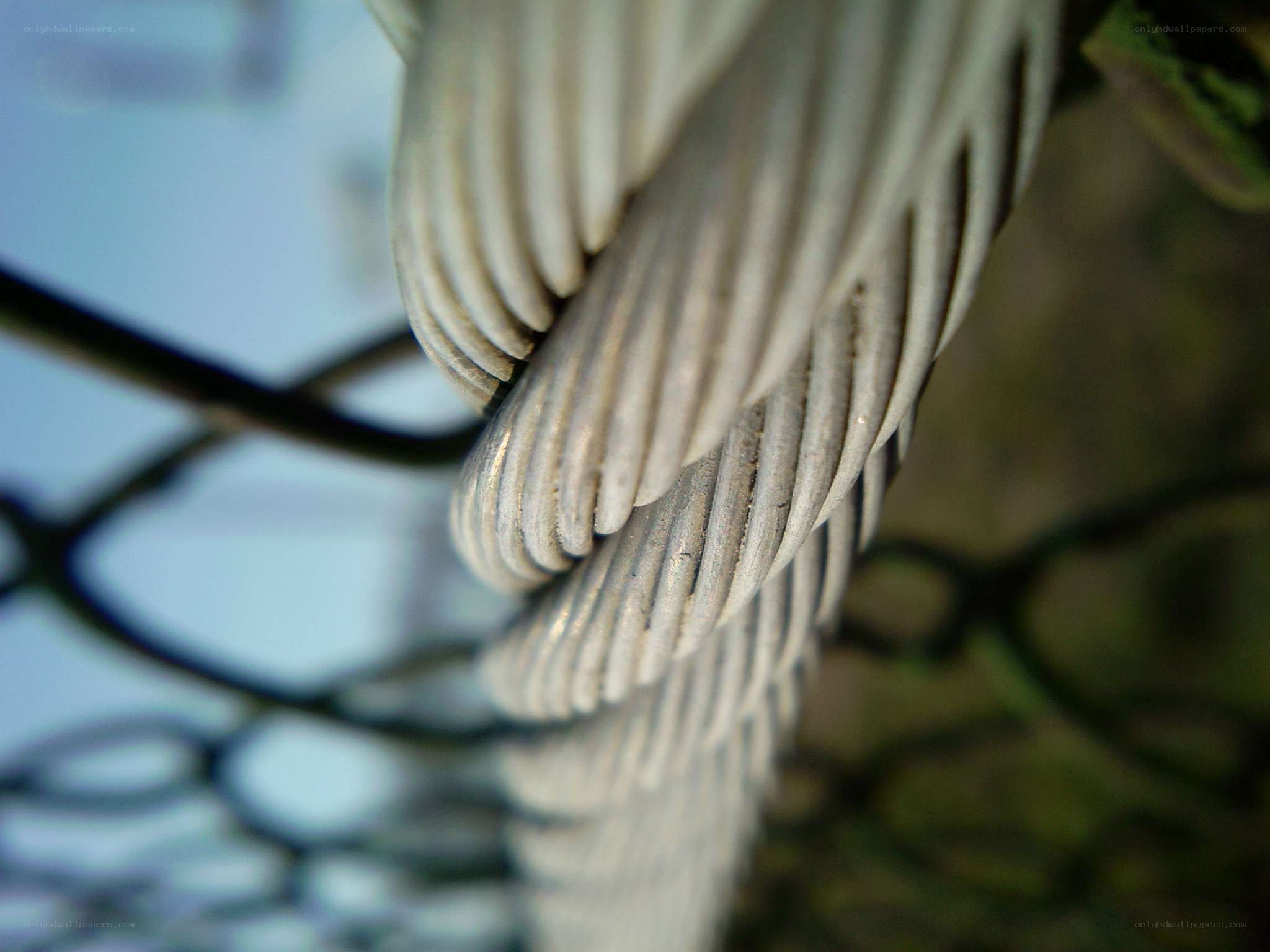 close-up of a twisted cable