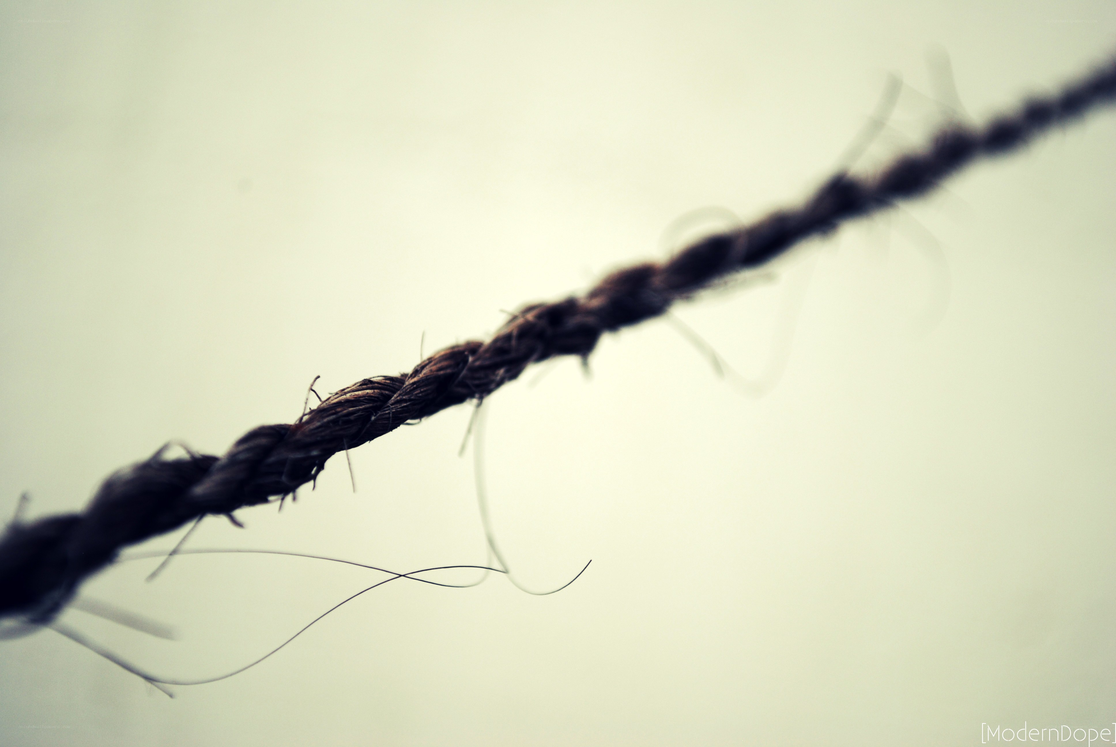 close-up of a twisted rope