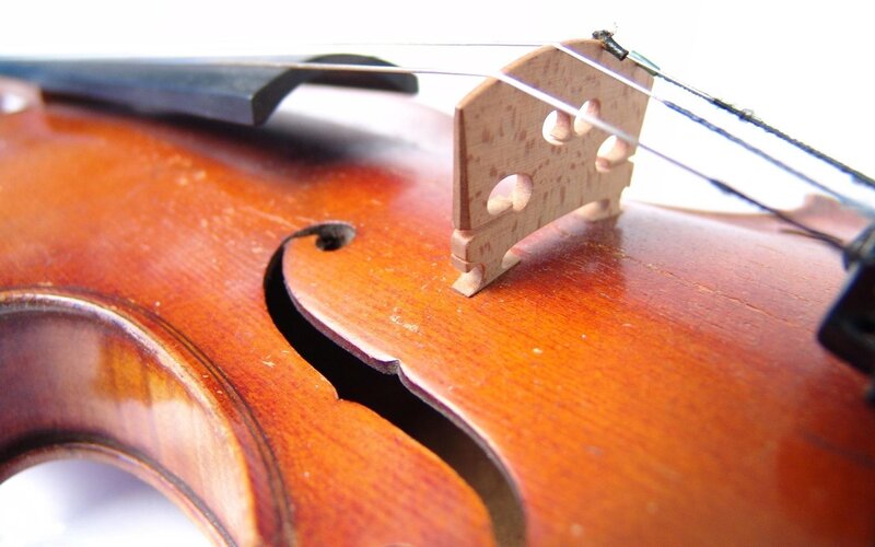 Close-up of a violin