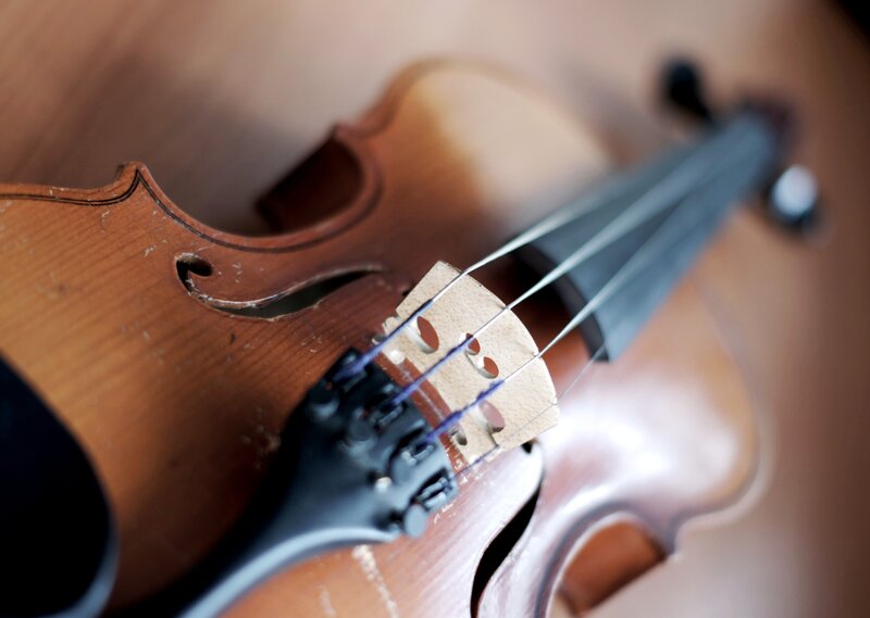 Close-up of a violin