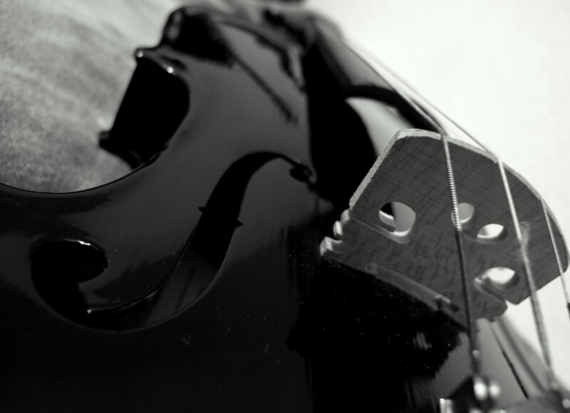 close-up of a violin