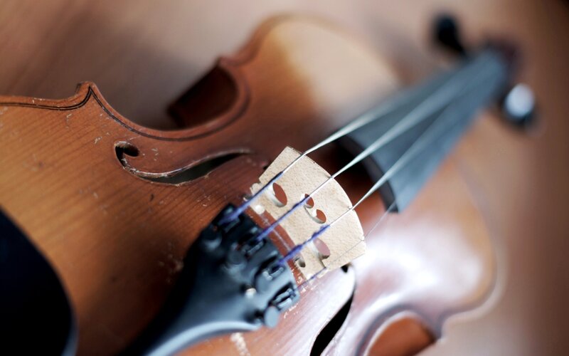Close-up of a violin