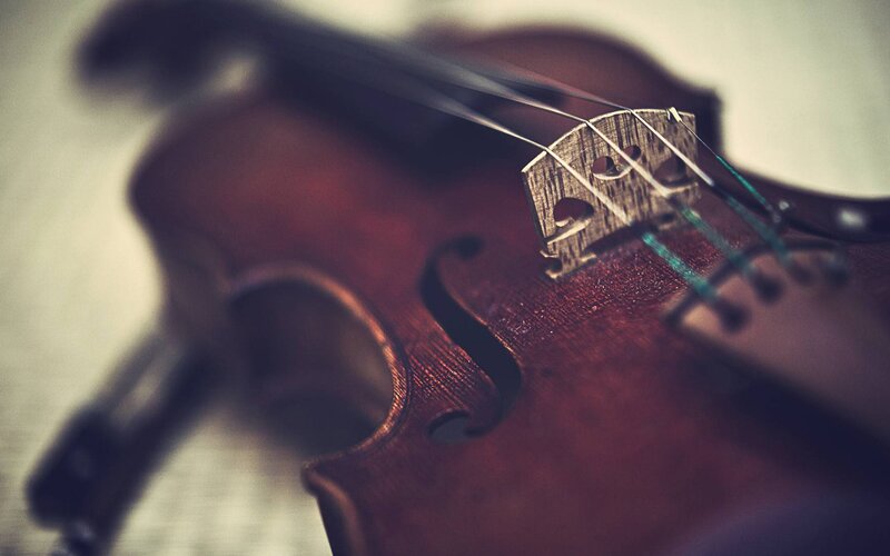 Close-up of a violin
