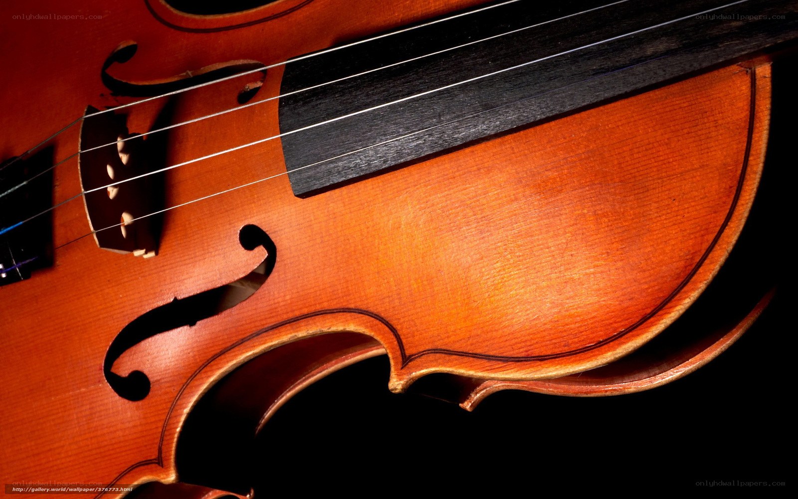 Close-up of a violin