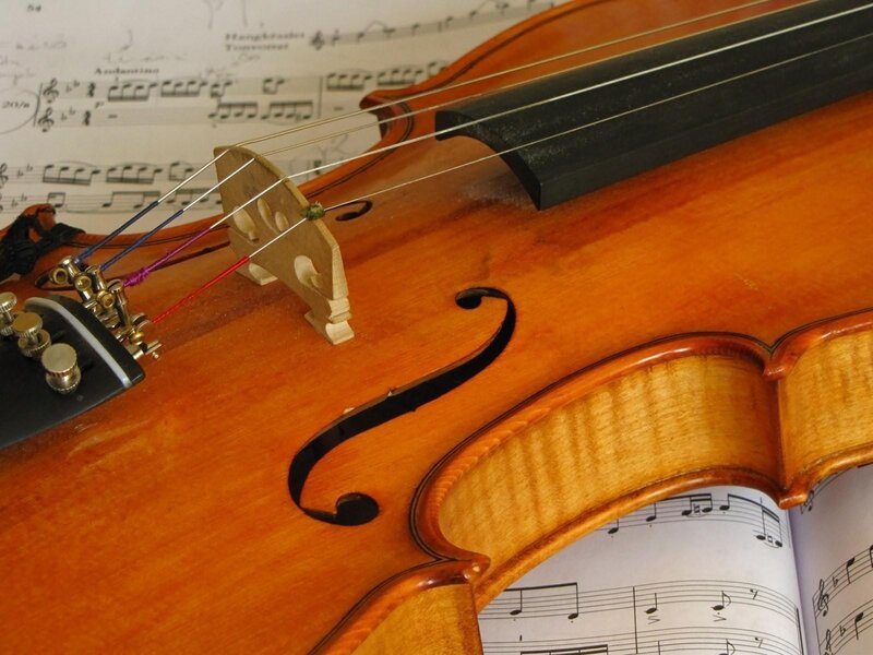 Close-up of a violin