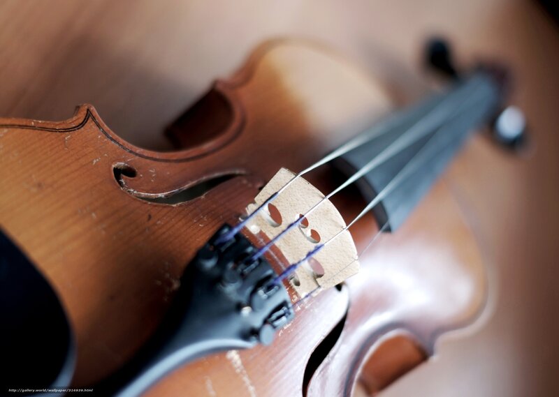 Close-up of a Violin — Brown, Calm