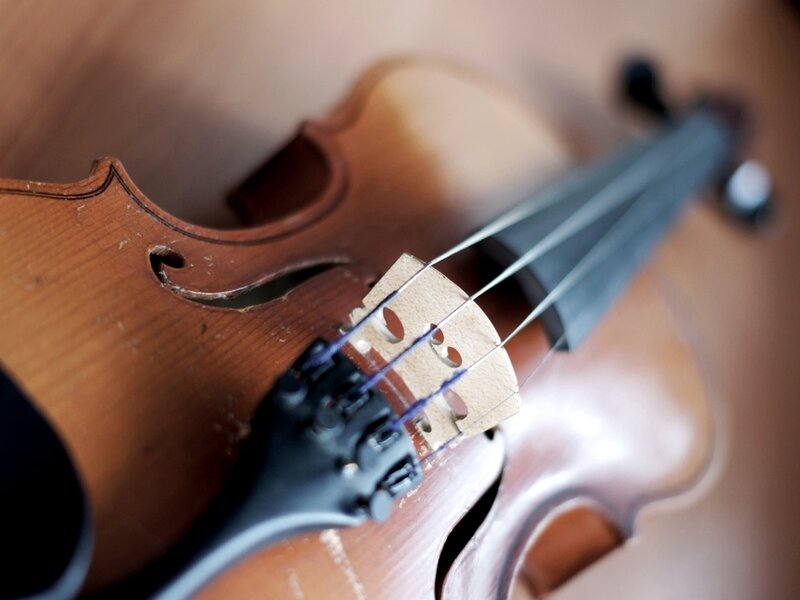 Close-up of a Violin — Brown