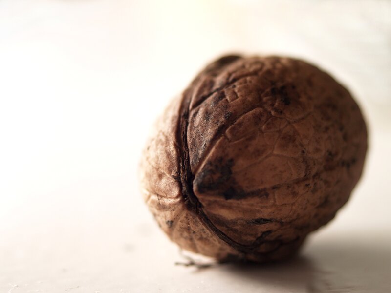 Close-up of a walnut