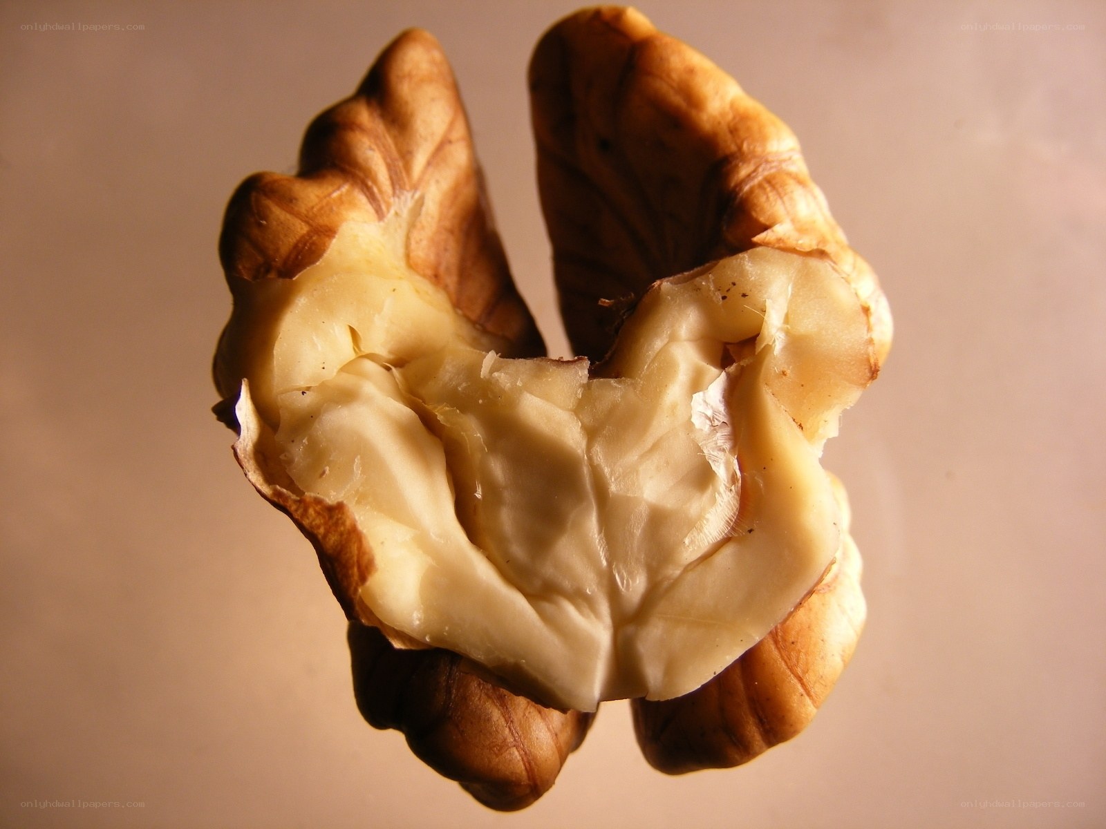 close-up of a walnut