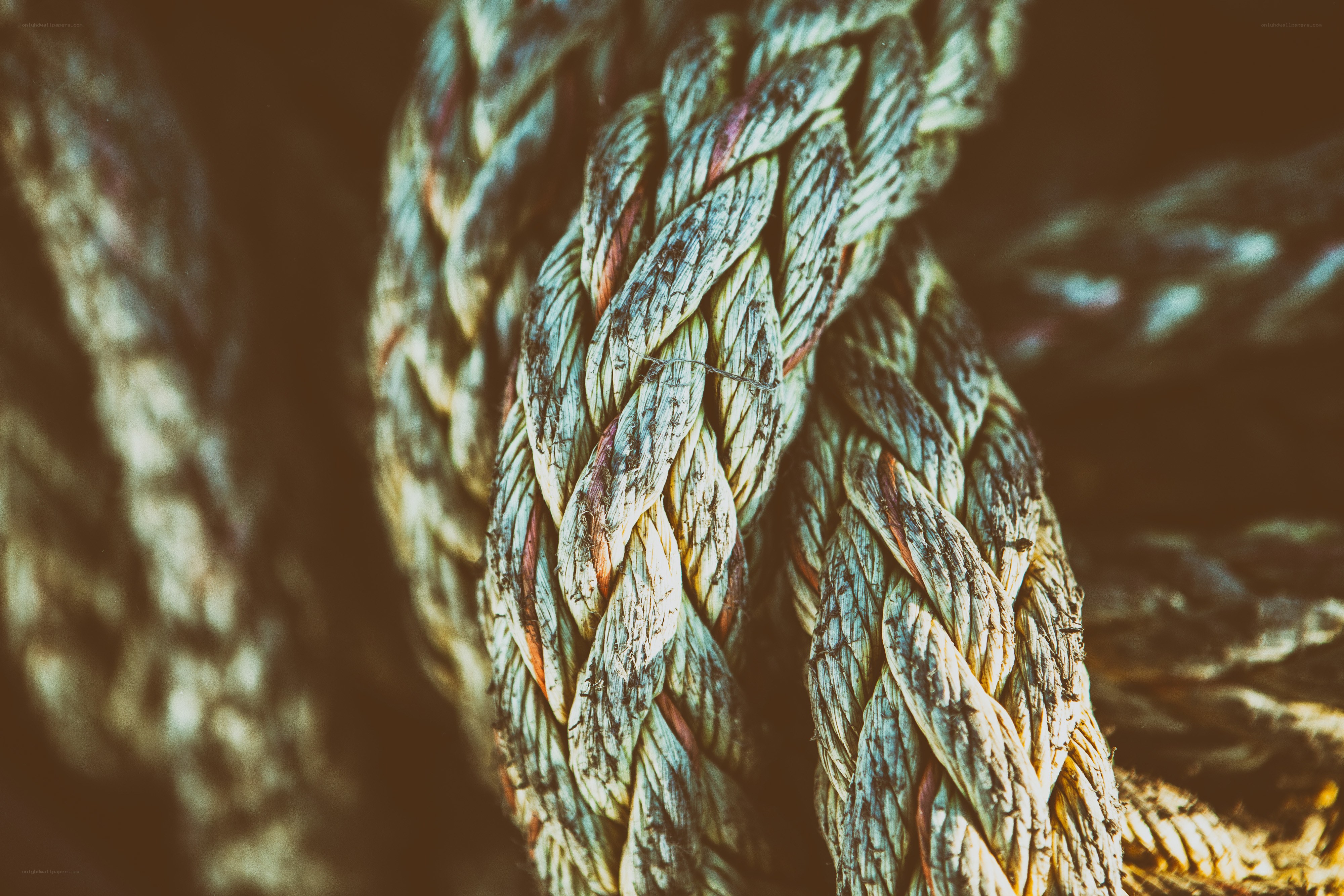 Close-up of a weathered rope