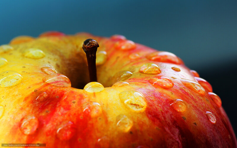 Close-up of a wet apple