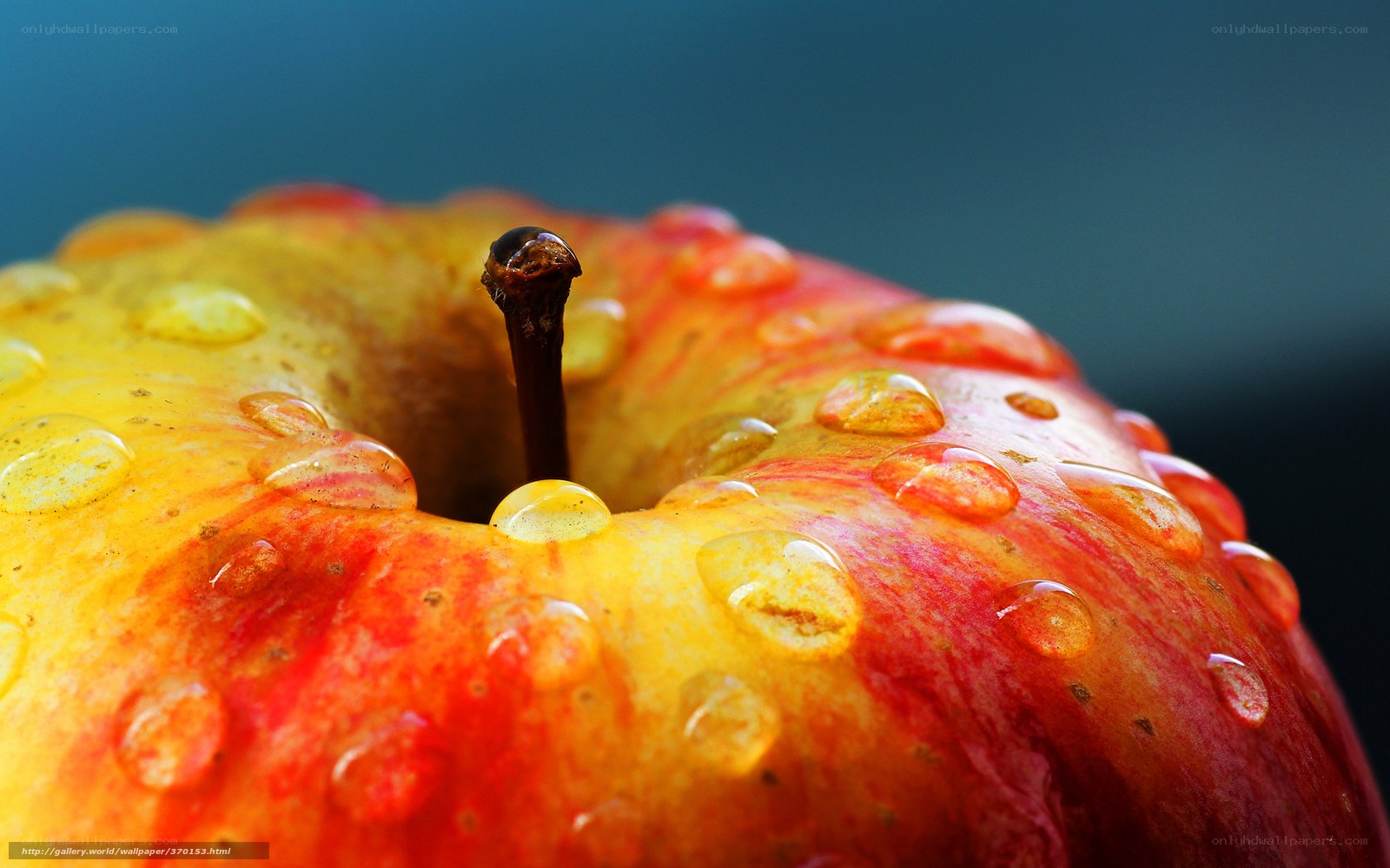 Close-up of a wet apple