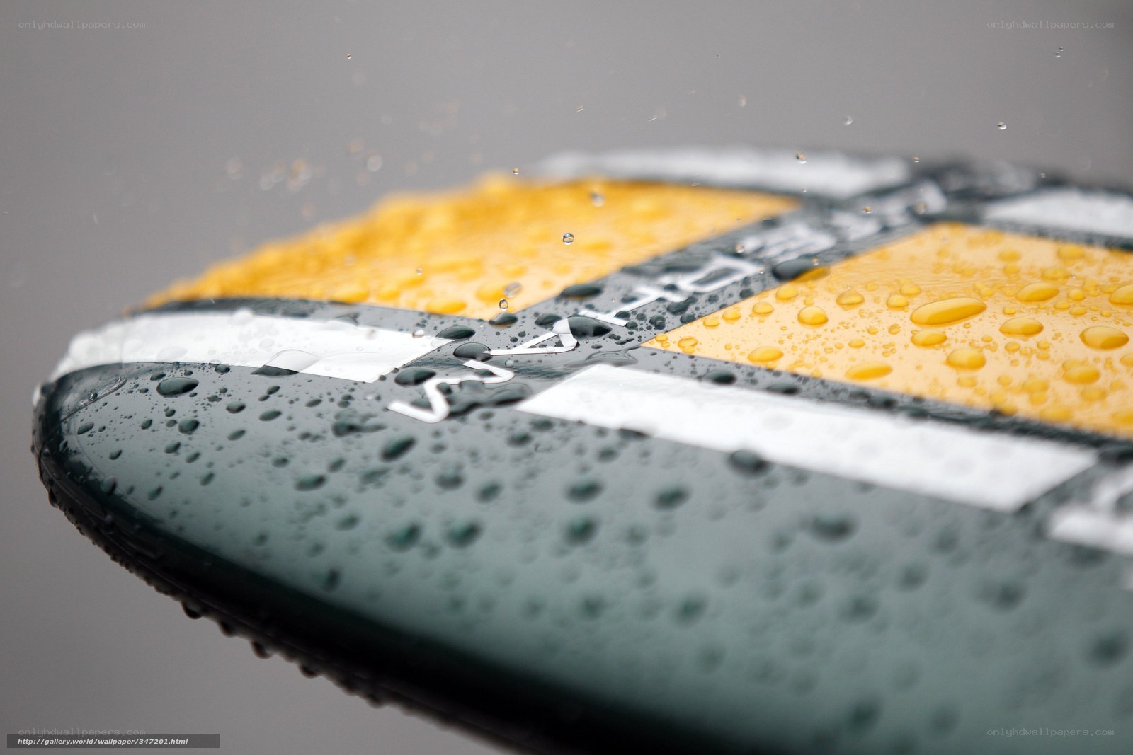 Close-up of a wet surfboard