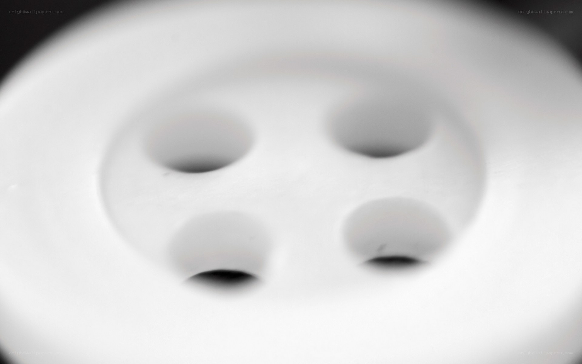 close-up of a white button