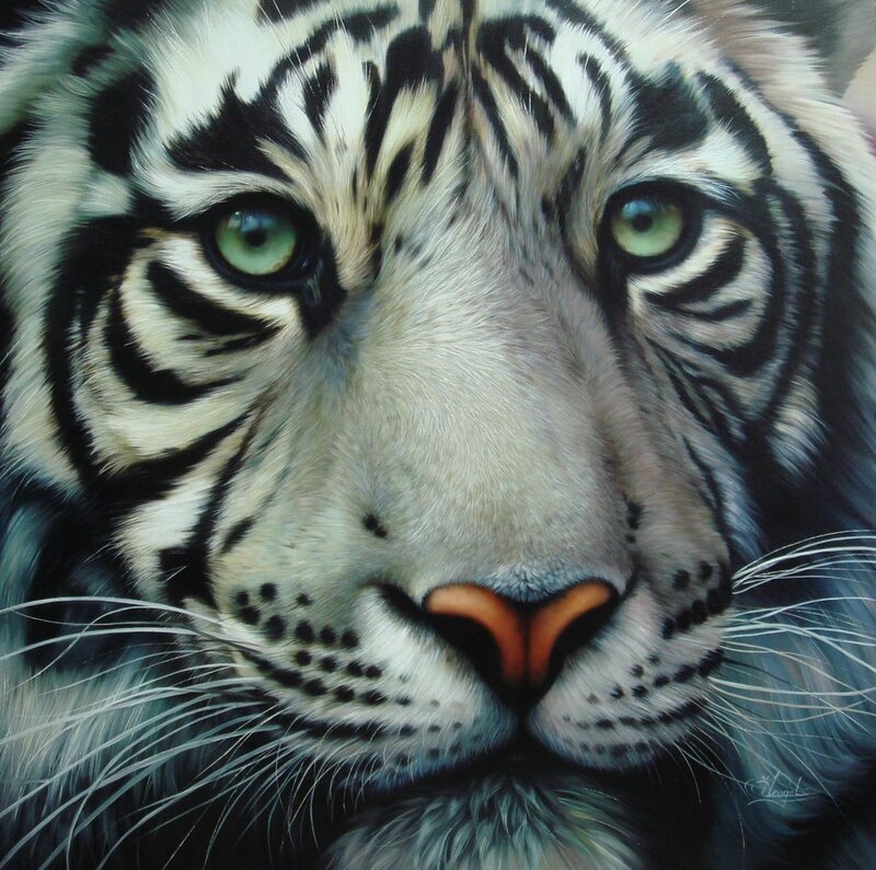 close-up of a white tiger
