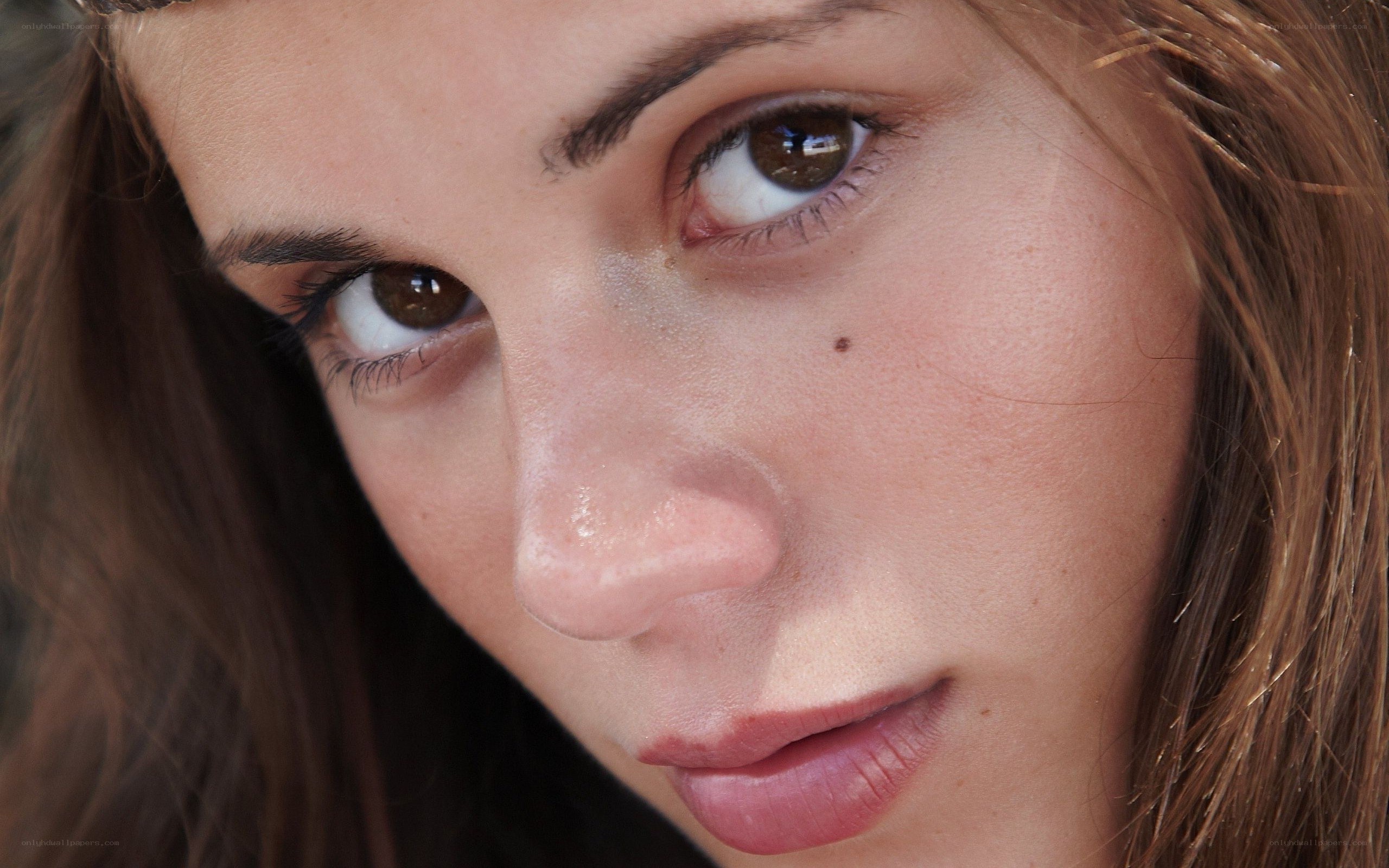 close-up of a woman's face
