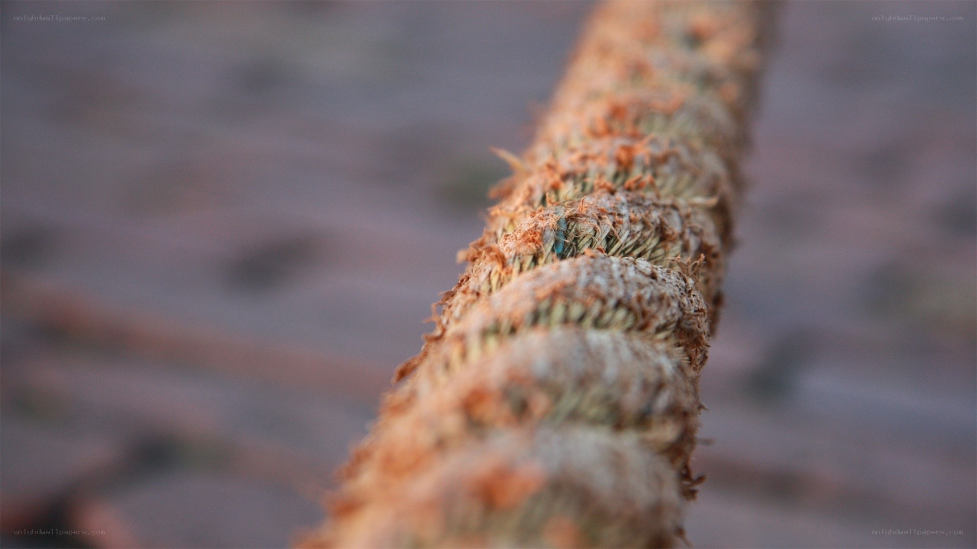 close-up of a worn rope