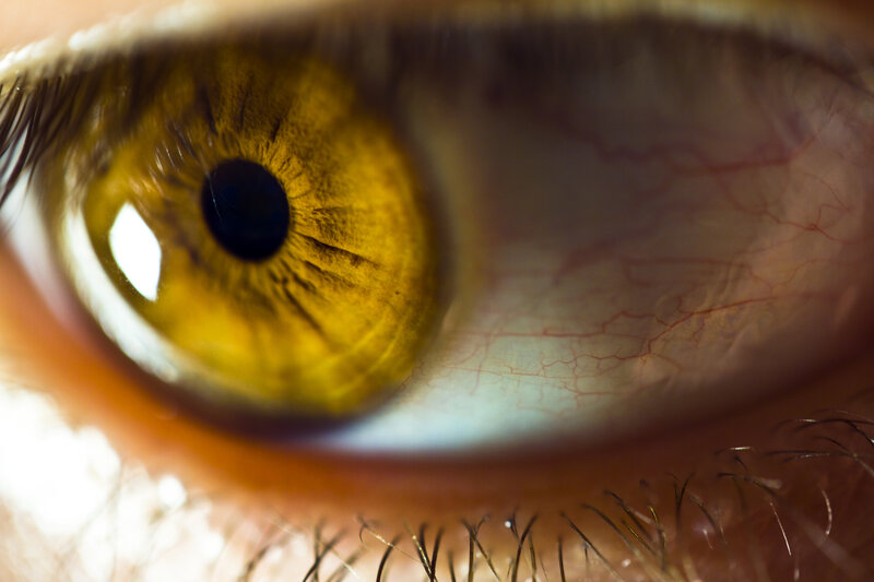 close-up of a yellow eye
