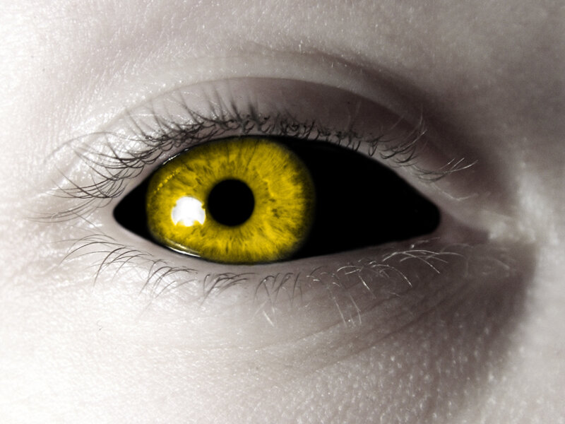 close-up of a yellow eye