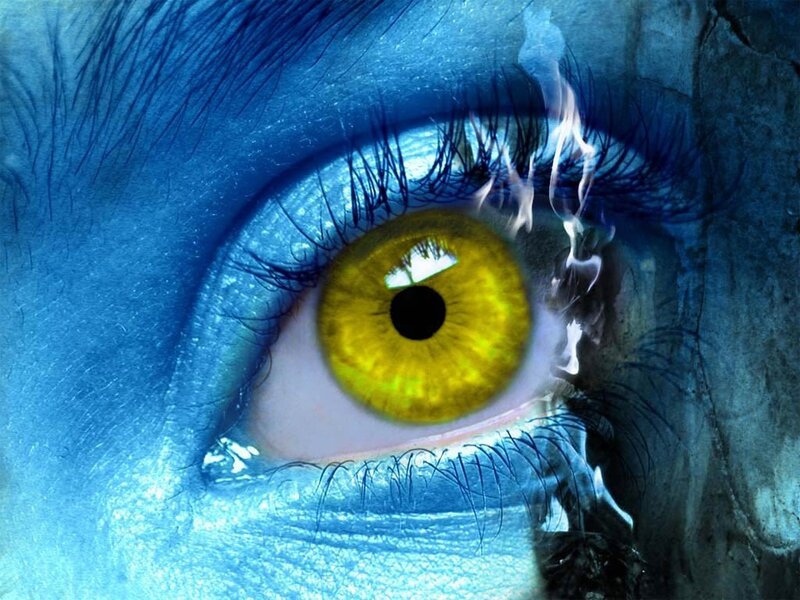 Close-up of a Yellow Eye — Dramatic