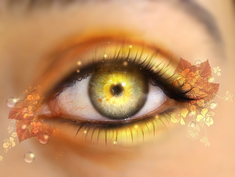 Close-up of a Yellow Eye — Dreamy