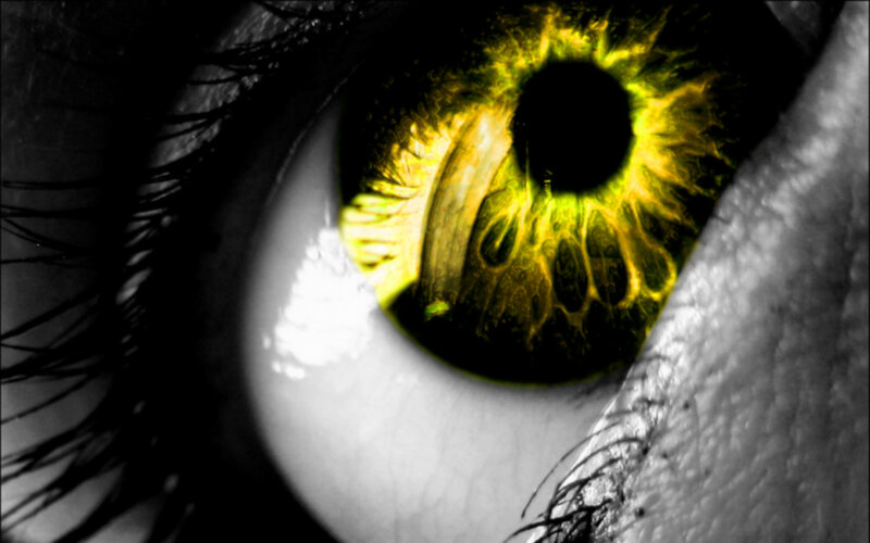 close-up of a yellow eye