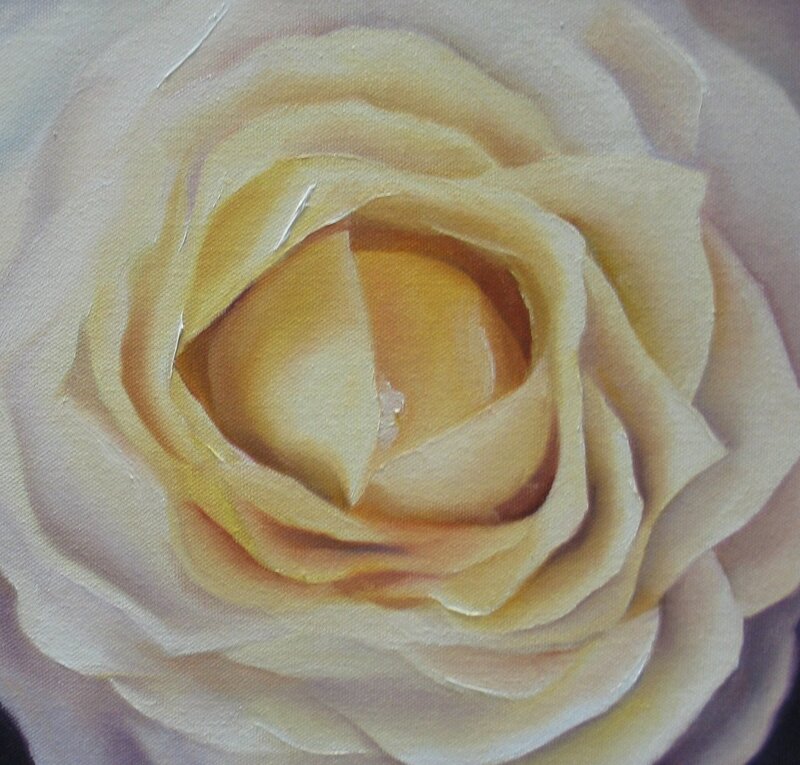 Close-up of a yellow rose