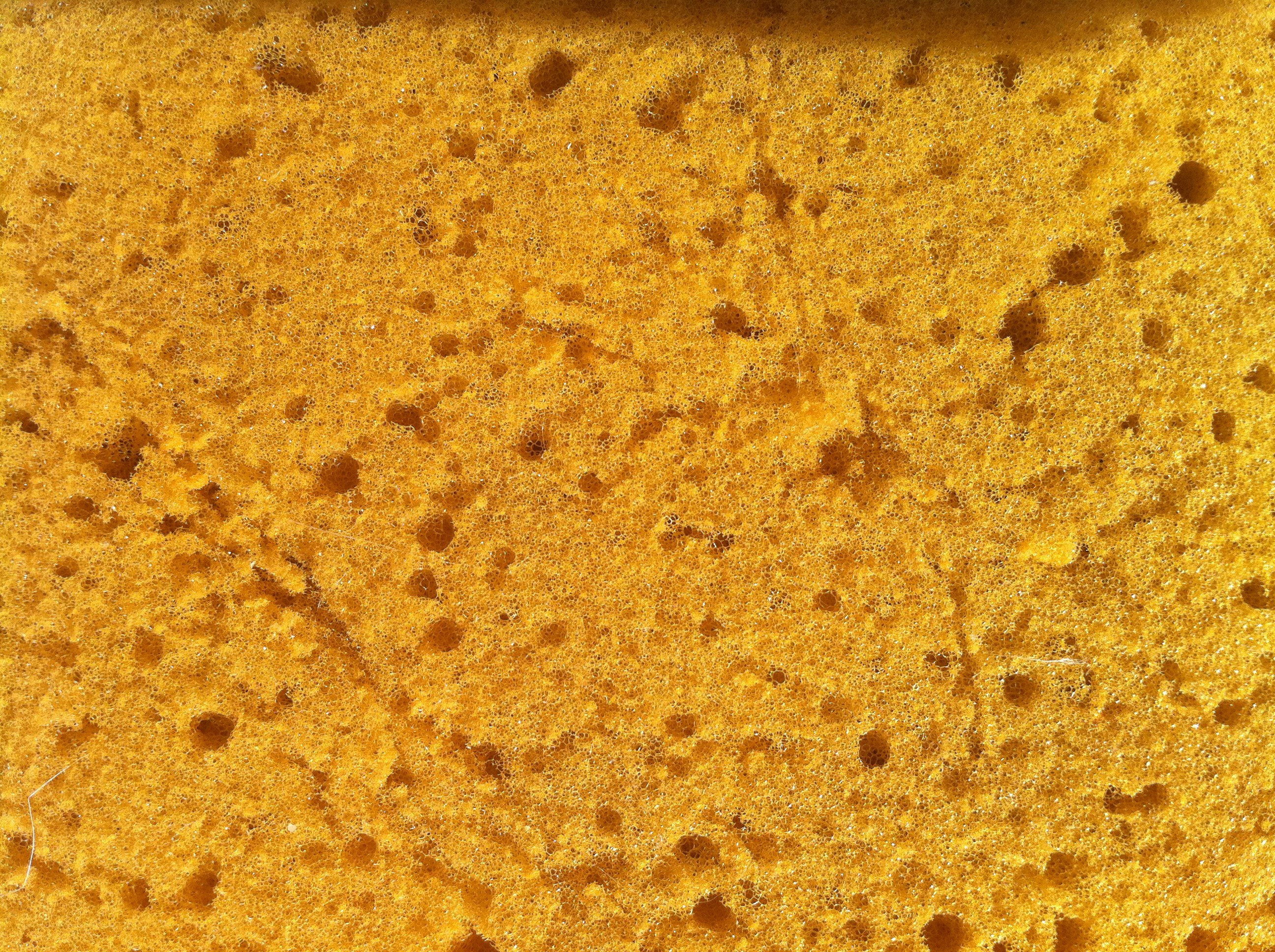 close-up of a yellow sponge