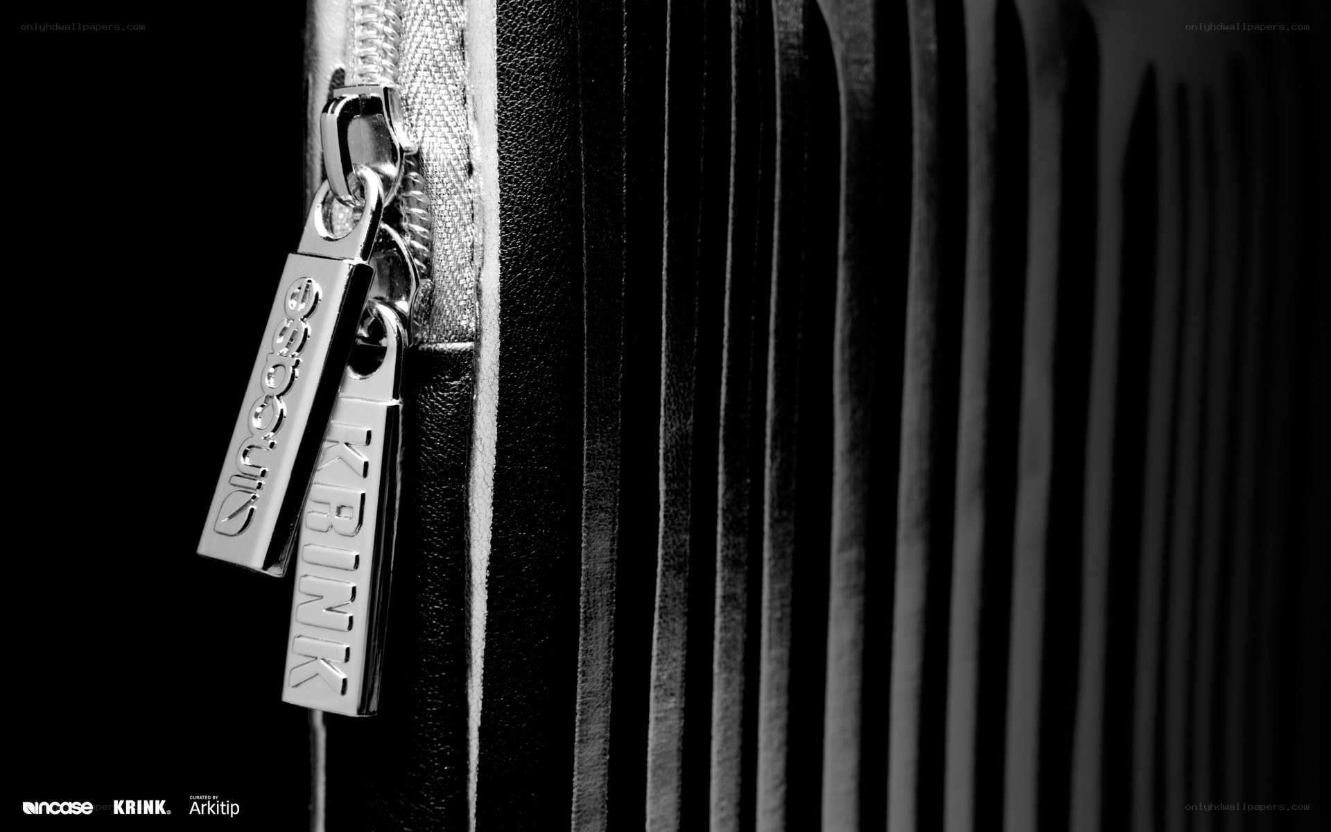 close-up of a zipper pull