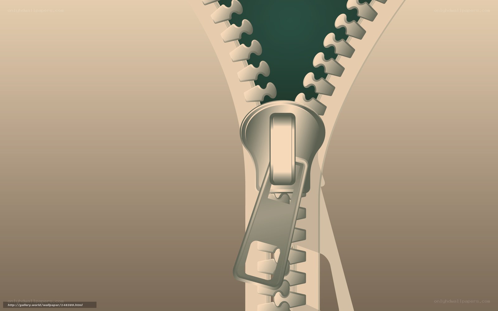 Close-up of a zipper