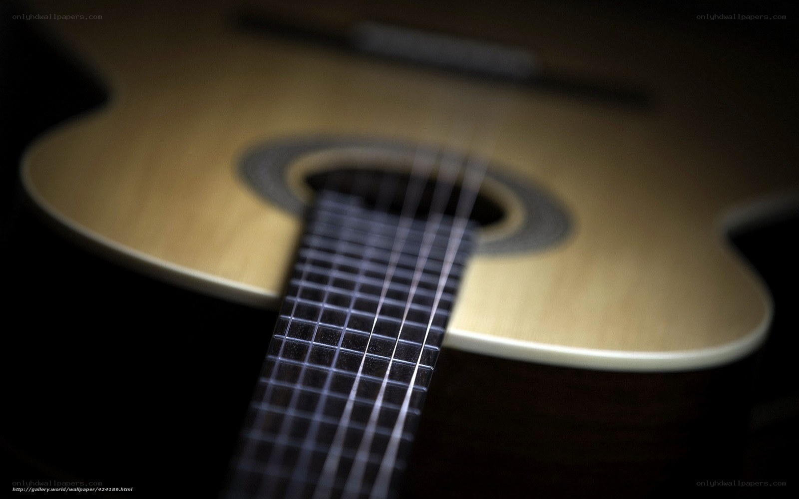 Close-up of acoustic guitar