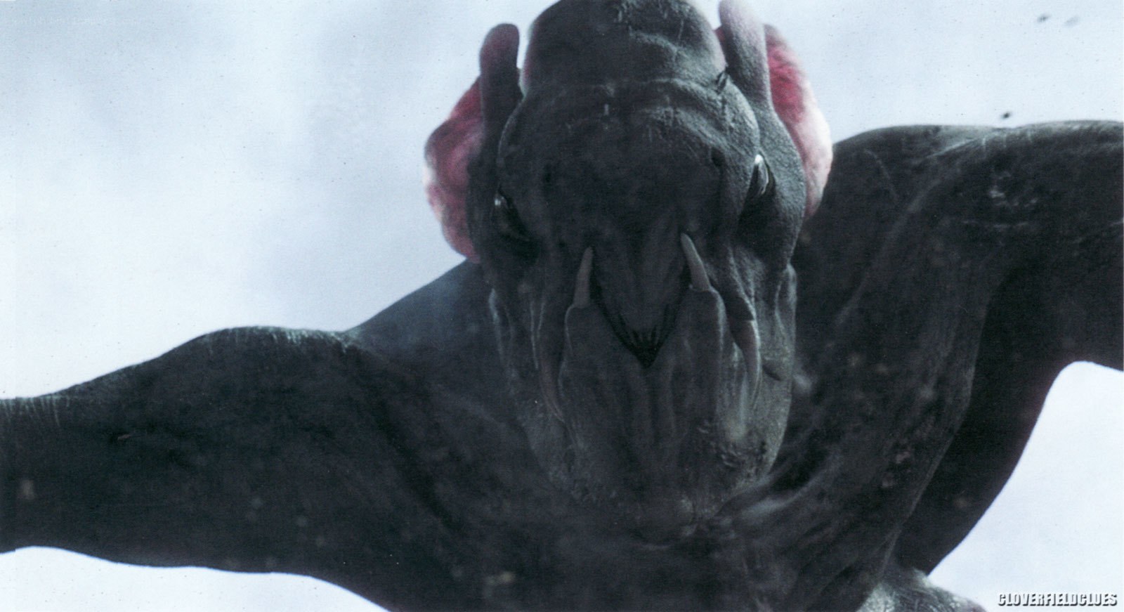close-up of alien creature