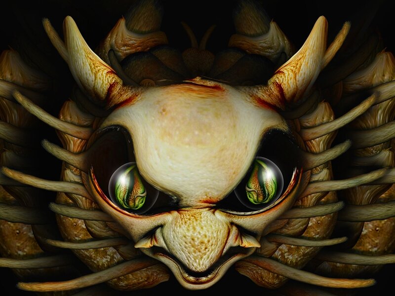 Close-up of Alien Creature — Black, Dark