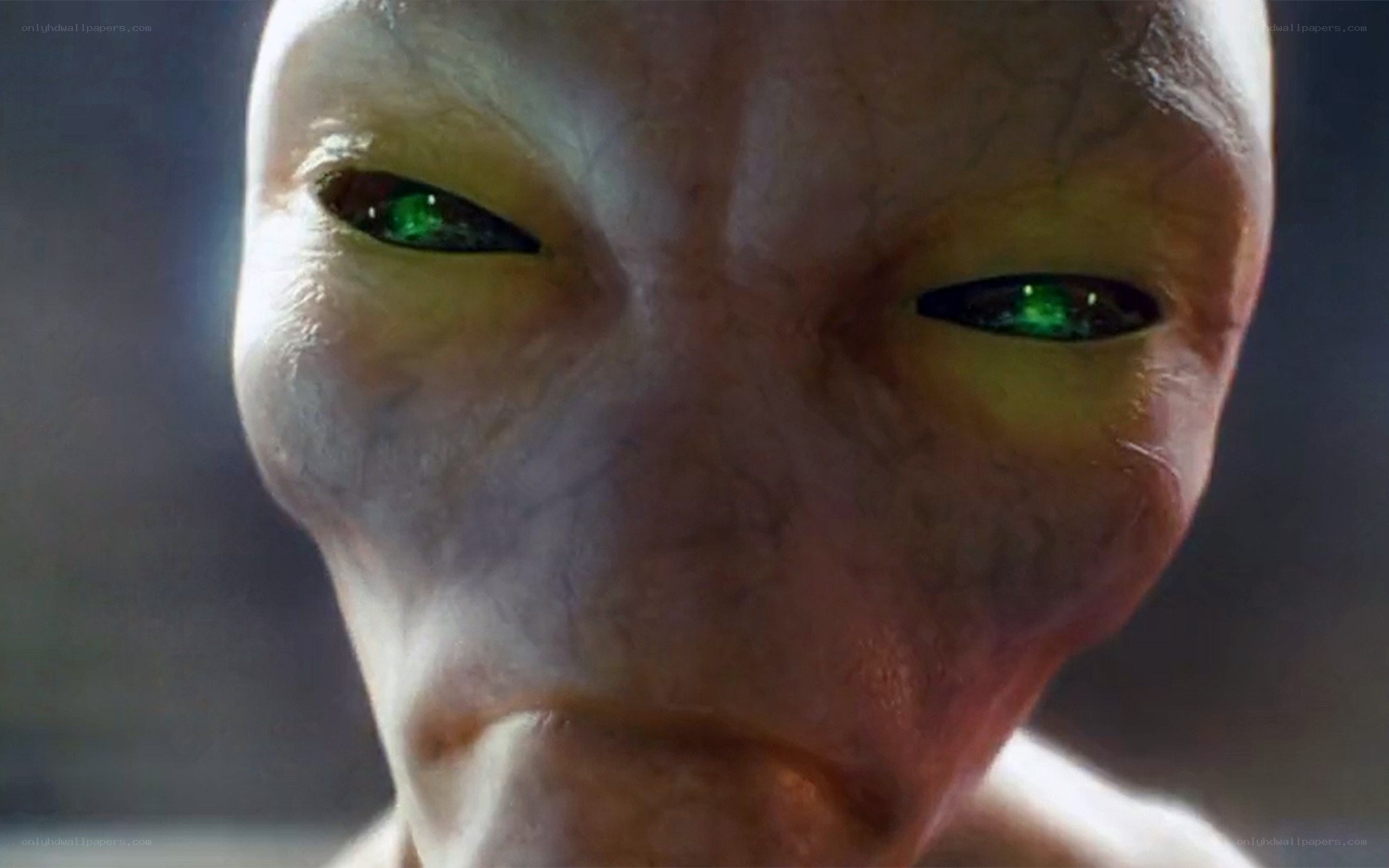 close-up of alien face