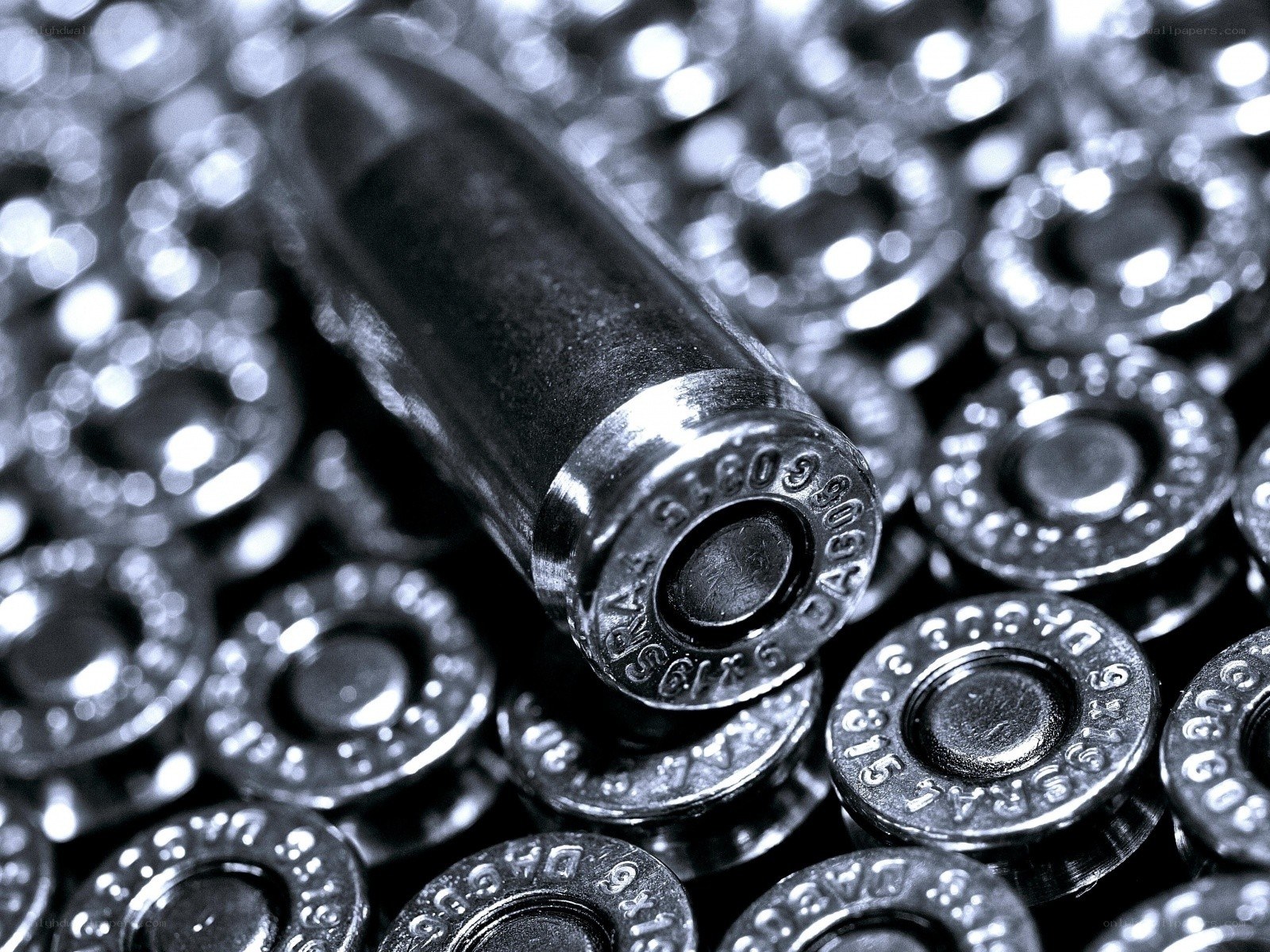 Close-up of ammunition cartridges