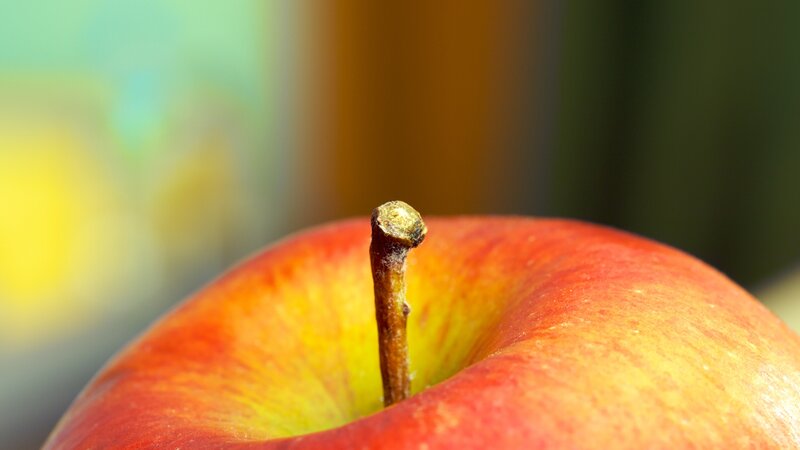 close-up of an apple