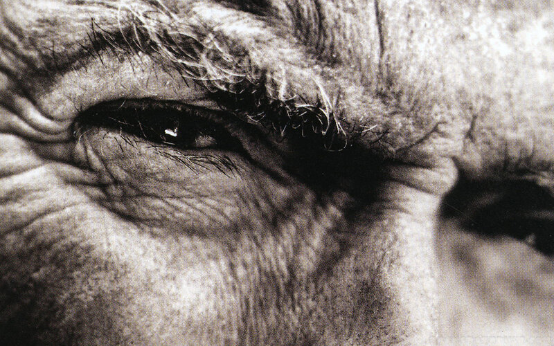 close-up of an elderly eye