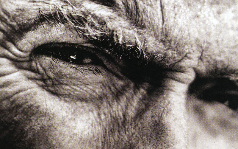 close-up of an elderly eye