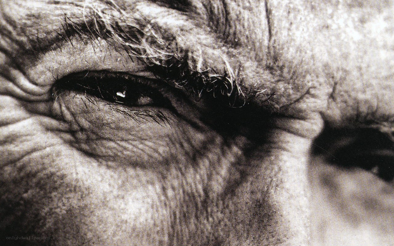 close-up of an elderly eye