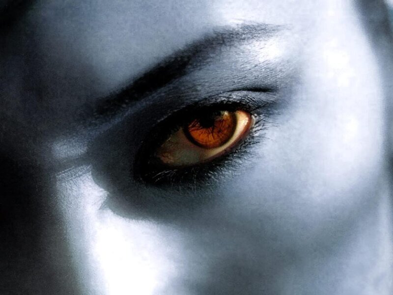 close-up of an eye