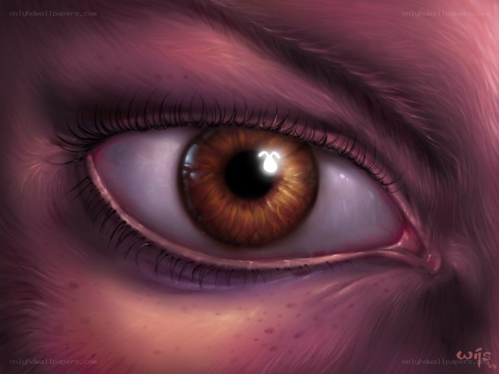 close-up of an eye
